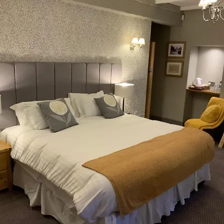 Han/Misafirhane The Sun *