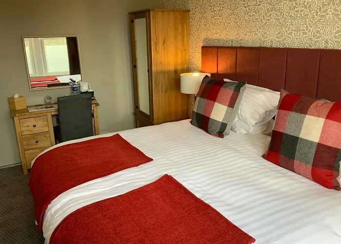 The Sun Han/Misafirhane